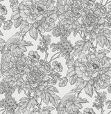 A-Street Prints Birds of Paraside Breeze Black Floral Wallpaper