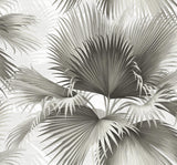 A-Street Prints Summer Palm Tropical Charcoal Wallpaper