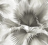 A-Street Prints Summer Palm Charcoal Tropical Wallpaper