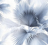 A-Street Prints Summer Palm Blue Tropical Wallpaper