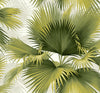 A-Street Prints Summer Palm Green Tropical Wallpaper
