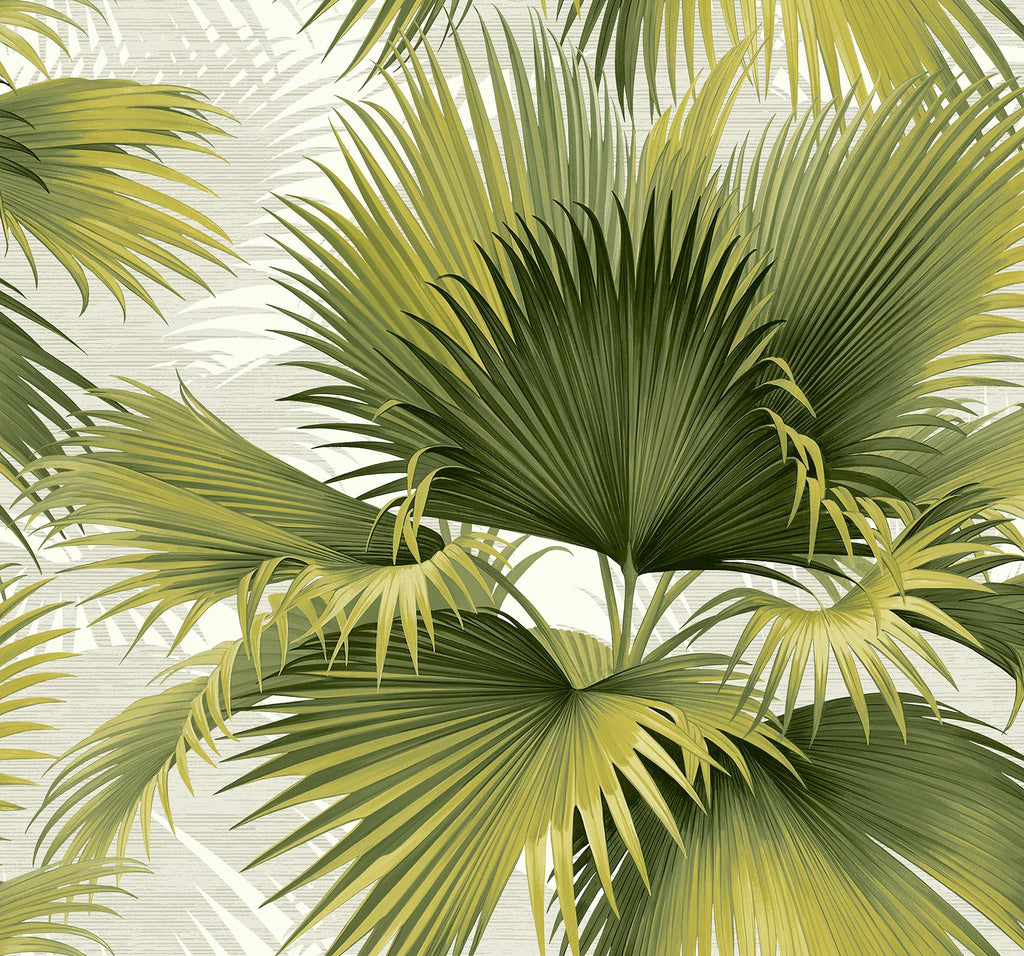 A-Street Prints Summer Palm Tropical Green Wallpaper