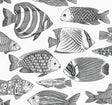 A-Street Prints Wailea Black Tropical School Wallpaper