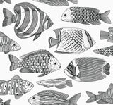 A-Street Prints Wailea Black Tropical School Wallpaper