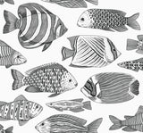 A-Street Prints Wailea Tropical School Black Wallpaper