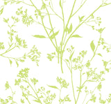 A-Street Prints Southport Delicate Branches Chartreuse Wallpaper