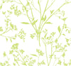 A-Street Prints Southport Chartreuse Delicate Branches Wallpaper
