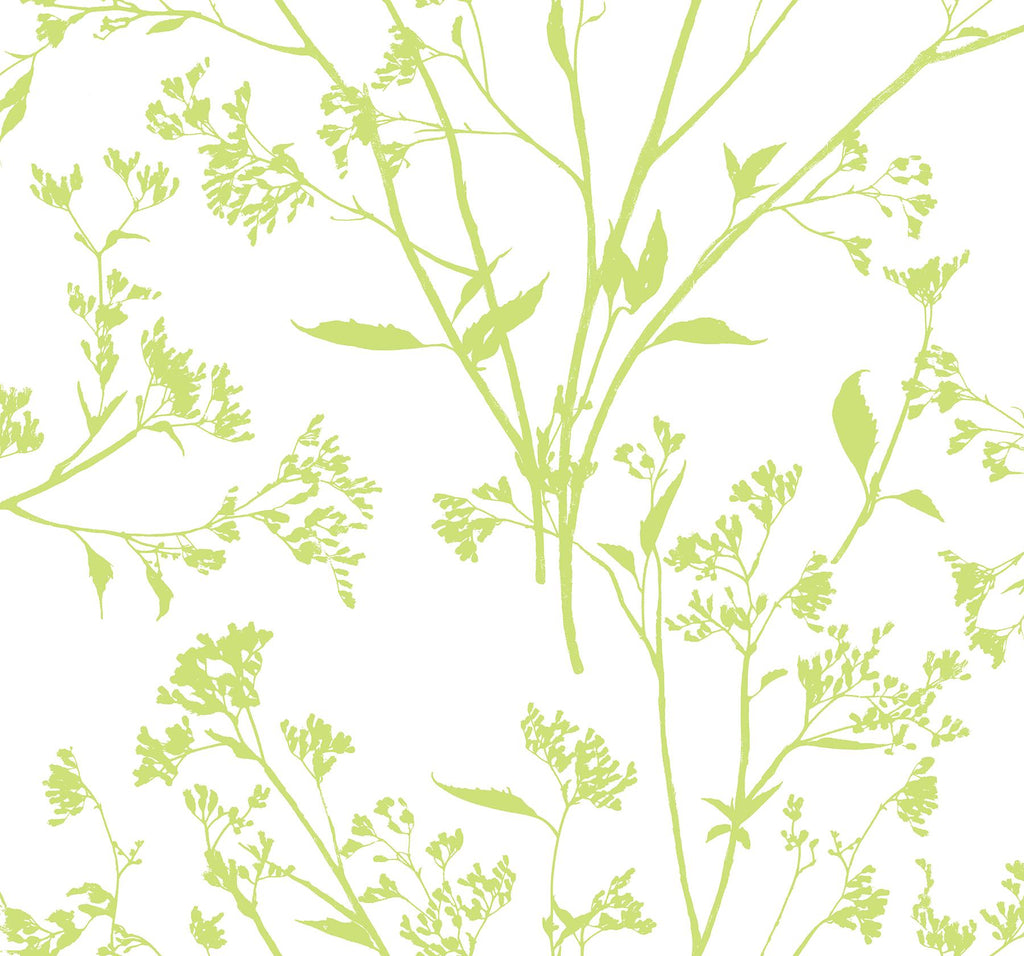 A-Street Prints Southport Delicate Branches Chartreuse Wallpaper