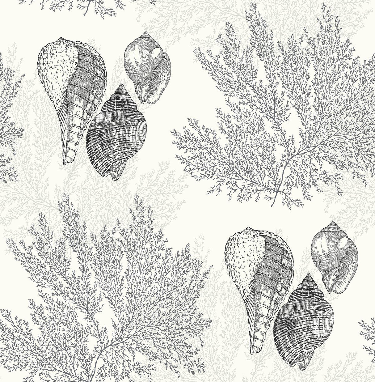 A-Street Prints Nauset Black Seashell Shores Wallpaper