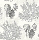 A-Street Prints Nauset Black Seashell Shores Wallpaper