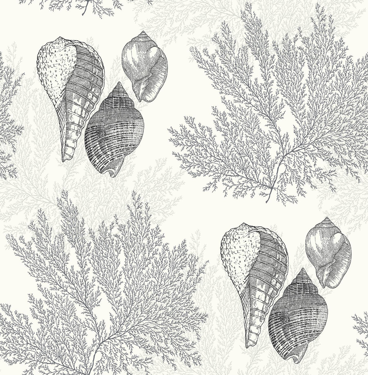 A-Street Prints Nauset Seashell Shores Black Wallpaper