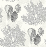 A-Street Prints Nauset Seashell Shores Black Wallpaper
