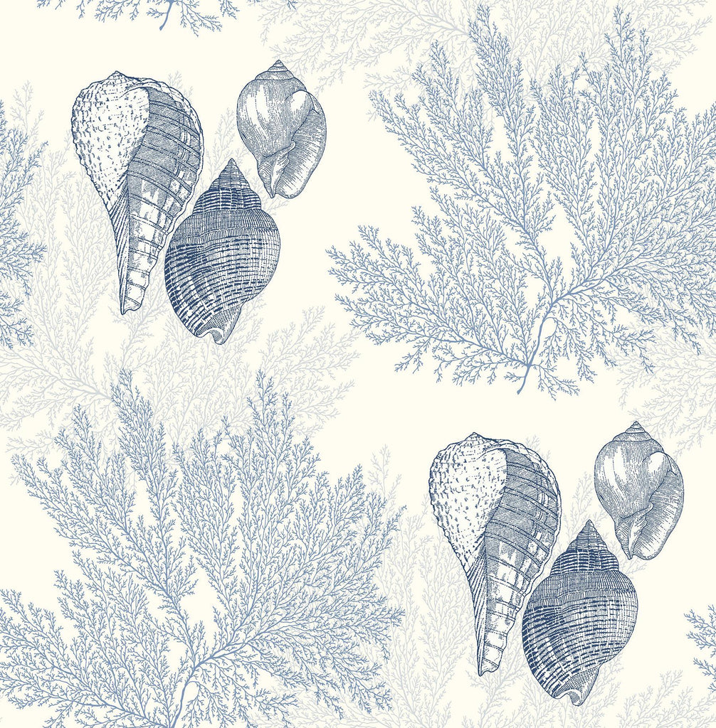 A-Street Prints Nauset Blue Seashell Shores Wallpaper