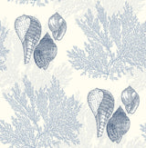 A-Street Prints Nauset Seashell Shores Blue Wallpaper
