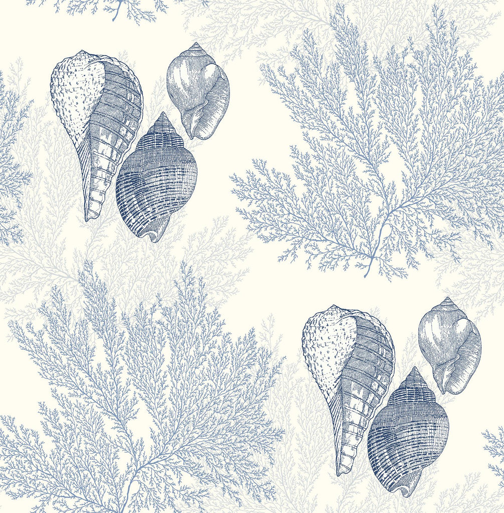 A-Street Prints Nauset Seashell Shores Blue Wallpaper