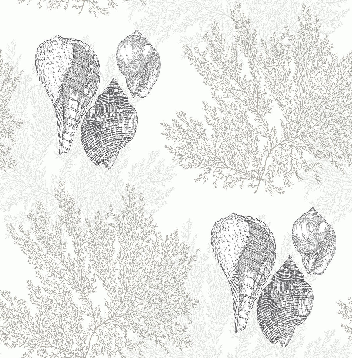 A-Street Prints Nauset Cream Seashell Shores Wallpaper