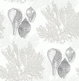 A-Street Prints Nauset Cream Seashell Shores Wallpaper