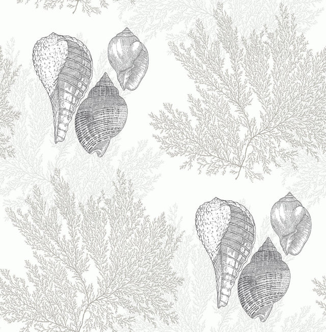 A-Street Prints Nauset Cream Seashell Shores Wallpaper