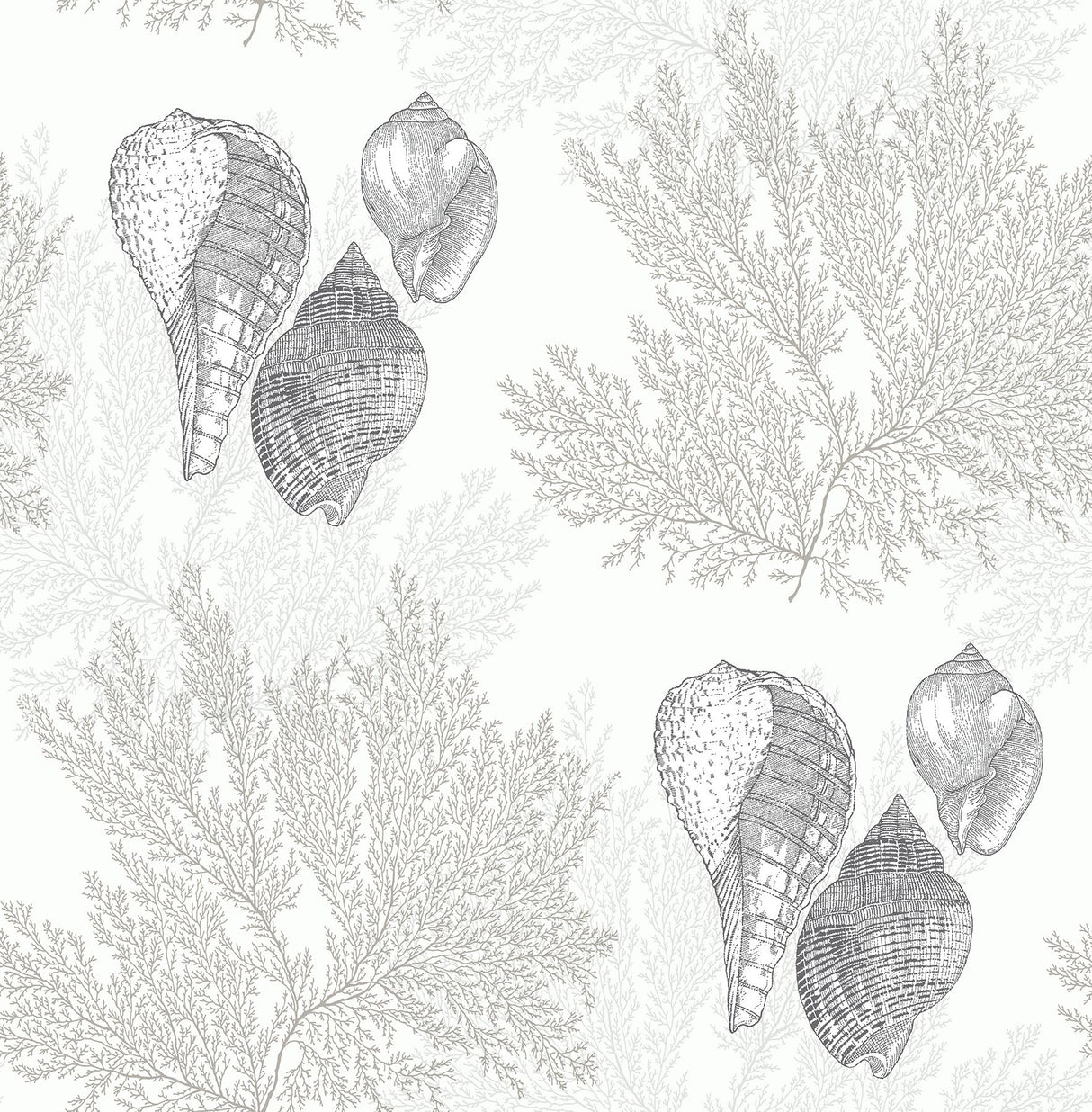 A-Street Prints Nauset Seashell Shores Cream Wallpaper