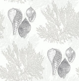 A-Street Prints Nauset Seashell Shores Cream Wallpaper
