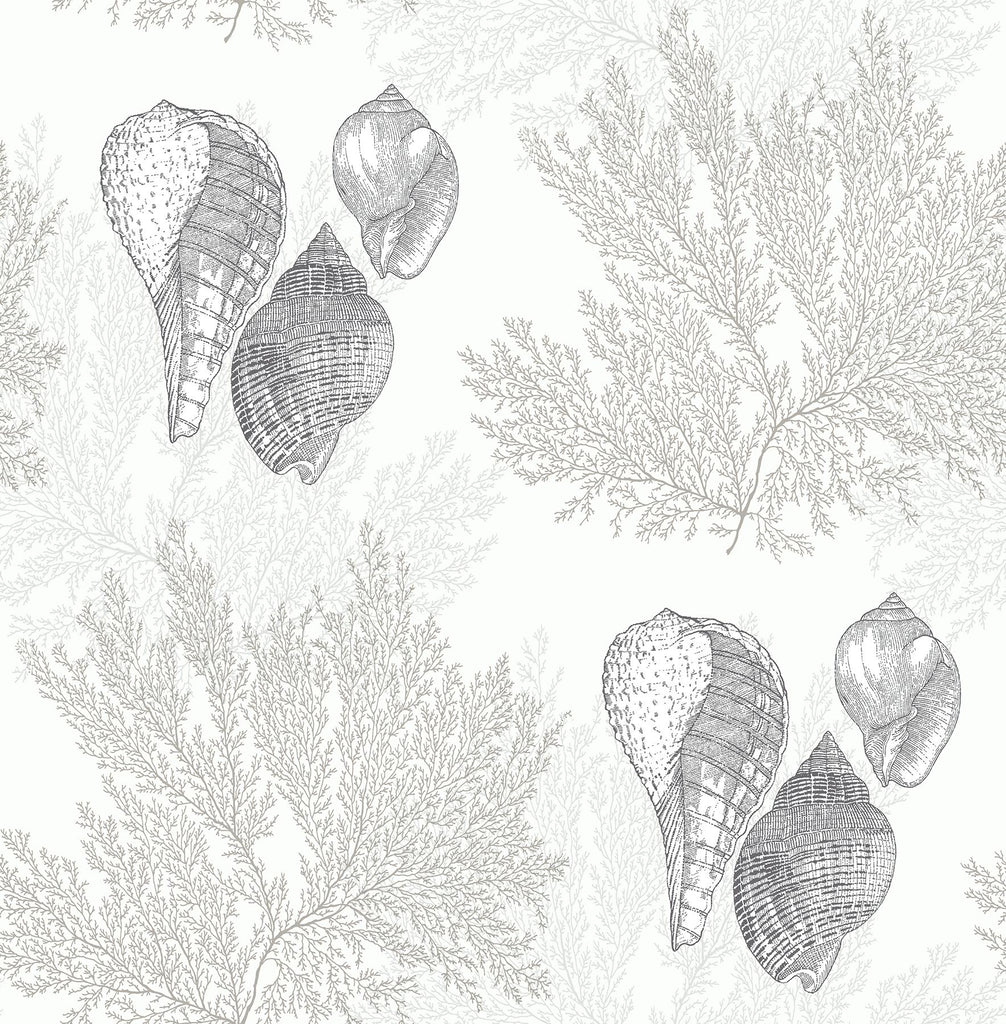 A-Street Prints Nauset Seashell Shores Cream Wallpaper
