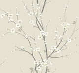A-Street Prints Monterey Ivory Floral Branch Wallpaper