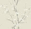 A-Street Prints Monterey Ivory Floral Branch Wallpaper