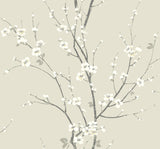 A-Street Prints Monterey Floral Branch Ivory Wallpaper