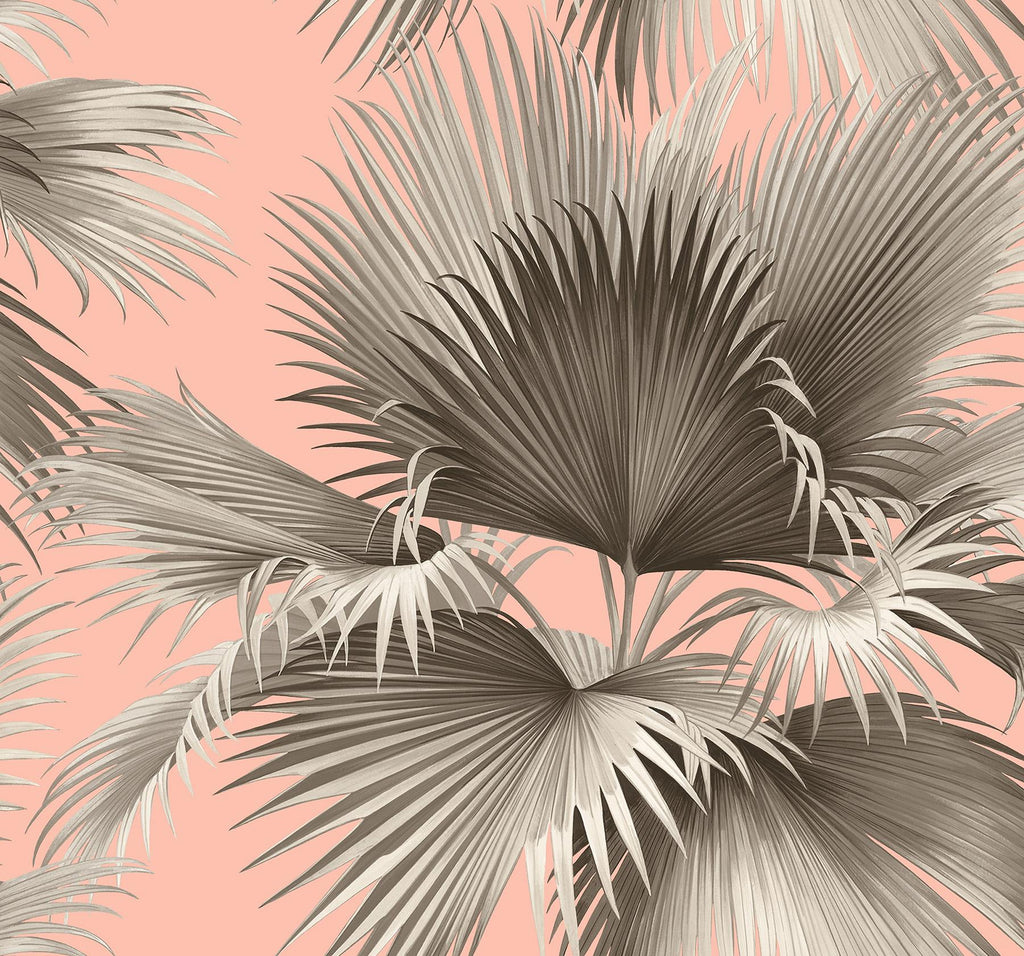 A-Street Prints Summer Palm Tropical Blush Wallpaper