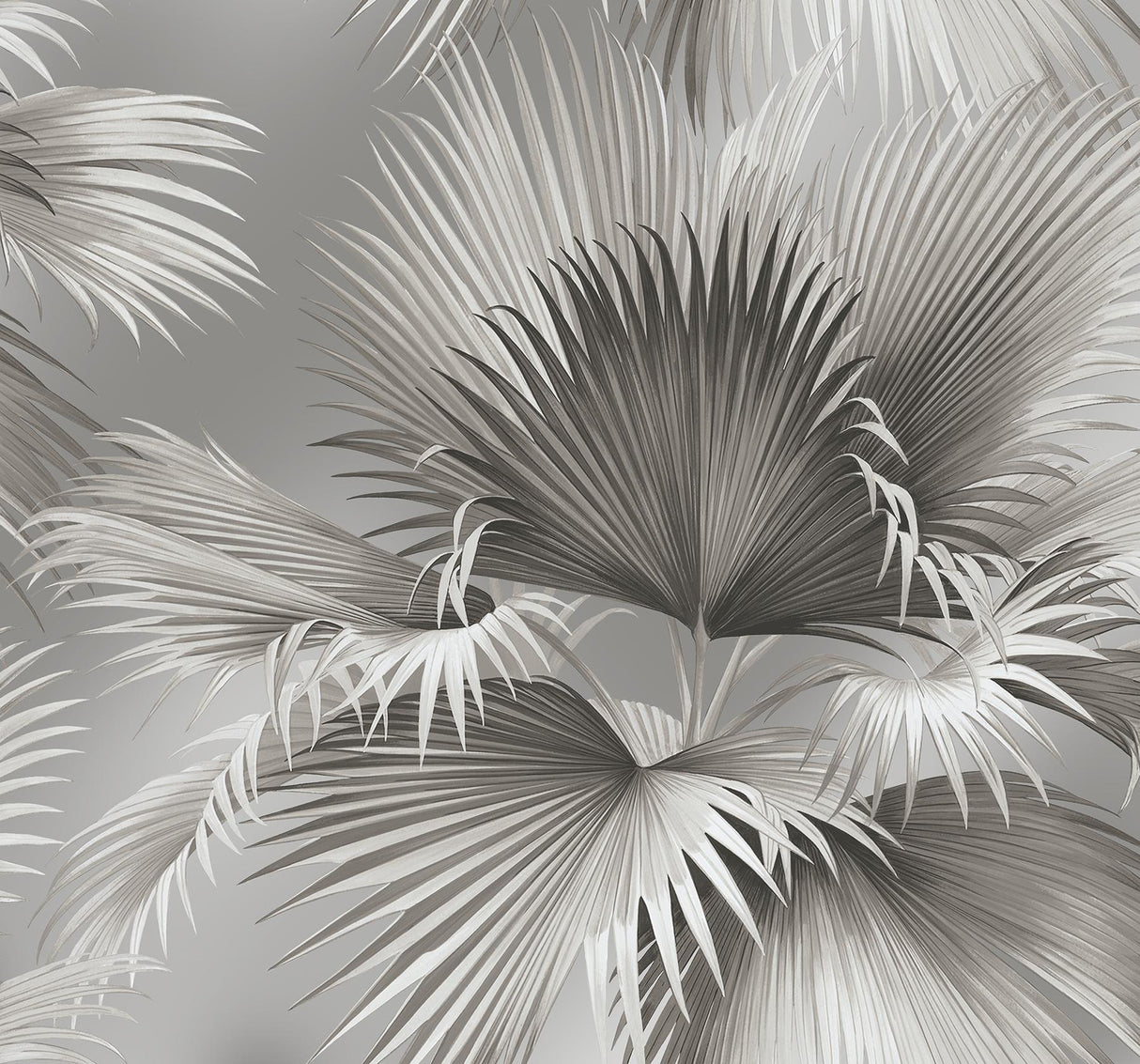 A-Street Prints Summer Palm Platinum Tropical Wallpaper