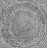 A-Street Prints Lalit Taupe Medallion Wallpaper