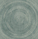 A-Street Prints Lalit Teal Medallion Wallpaper