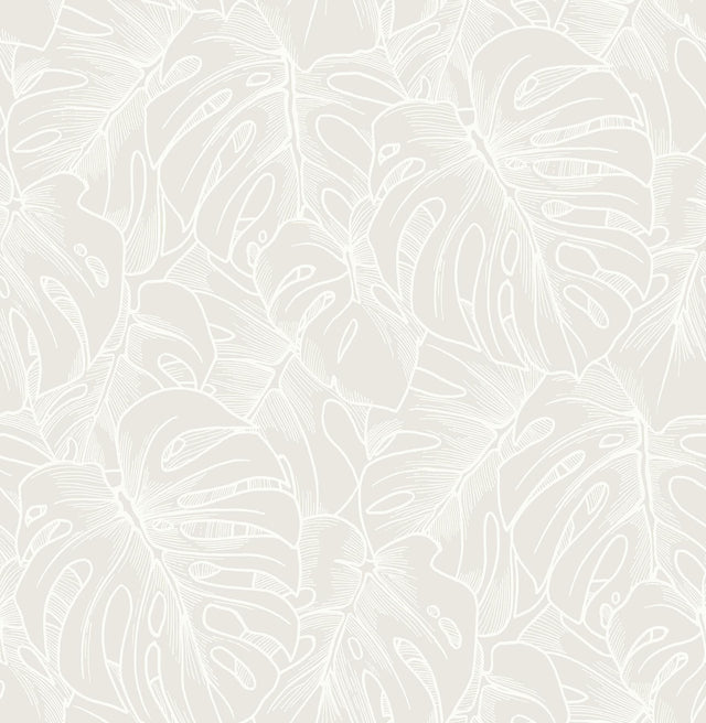 A-Street Prints Balboa White Botanical Wallpaper