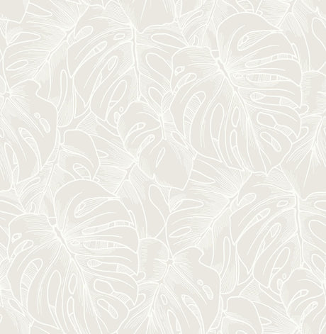A-Street Prints Balboa Botanical White Wallpaper