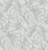 A-Street Prints Balboa Olive Botanical Wallpaper