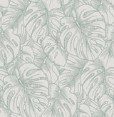 A-Street Prints Balboa Botanical Olive Wallpaper