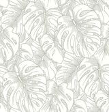 A-Street Prints Balboa Silver Botanical Wallpaper