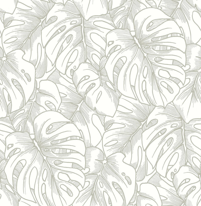 A-Street Prints Balboa Silver Botanical Wallpaper