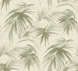 A-Street Prints Darlana Grasscloth Sage Wallpaper