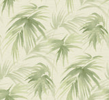 A-Street Prints Darlana Green Grasscloth Wallpaper