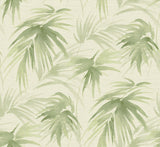 A-Street Prints Darlana Grasscloth Green Wallpaper