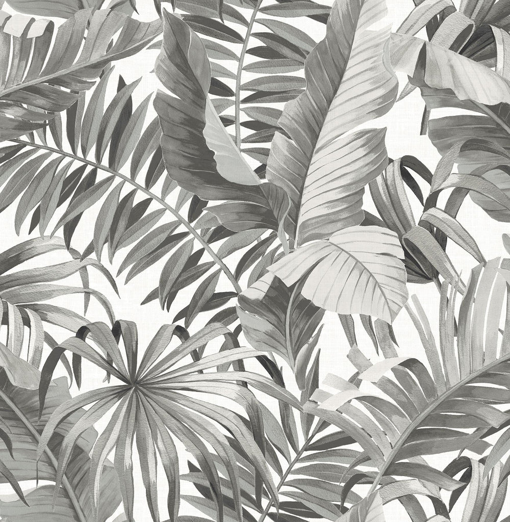A-Street Prints Alfresco Tropical Palm Grey Wallpaper