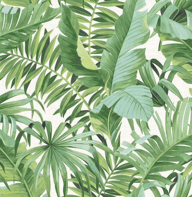 A-Street Prints Alfresco Green Tropical Palm Wallpaper