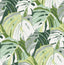 A-Street Prints Samara Green Monstera Leaf Wallpaper