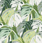 A-Street Prints Samara Green Monstera Leaf Wallpaper