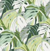 A-Street Prints Samara Monstera Leaf Green Wallpaper