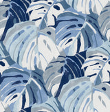 A-Street Prints Samara Blue Monstera Leaf Wallpaper