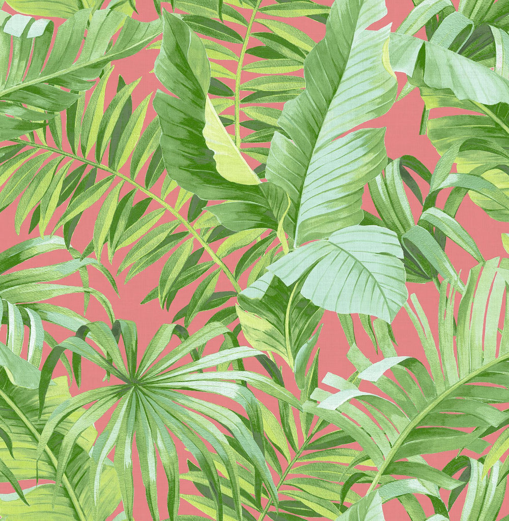 A-Street Prints Alfresco Coral Tropical Palm Wallpaper