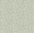 A-Street Prints Coraline Green Leaf Wallpaper