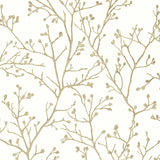 A-Street Prints Koura Cream Budding Branches Wallpaper
